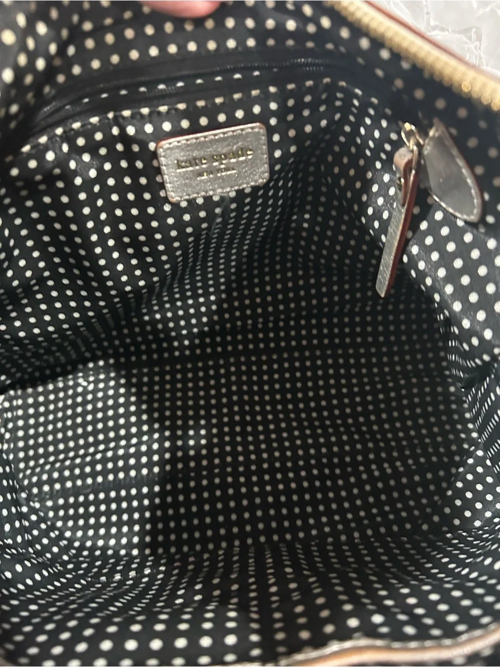 Kate Spade Metallic Silver/Champagne Leather Crossbody Bag